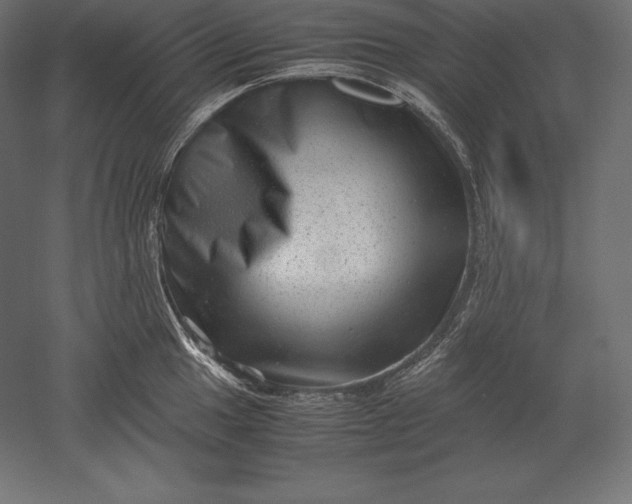 X0000051271049200507011740