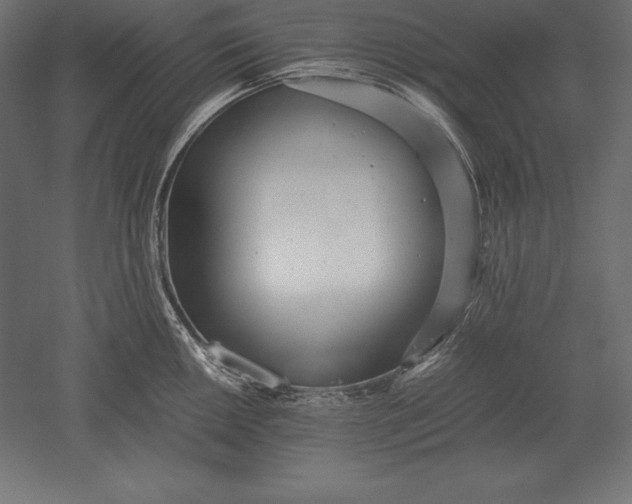 X0000051271050200507011740