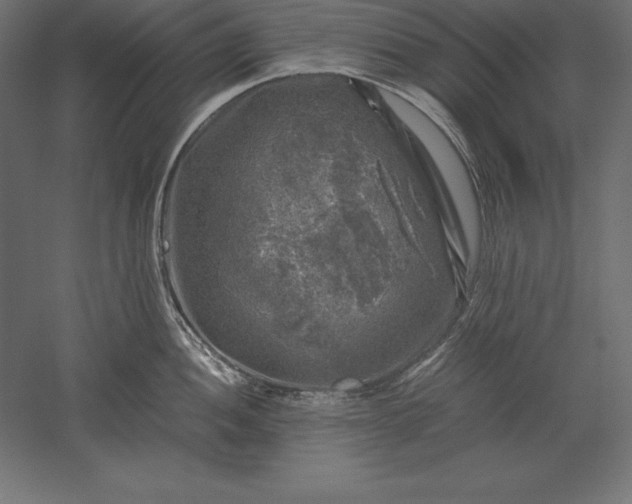 X0000051271052200507011740