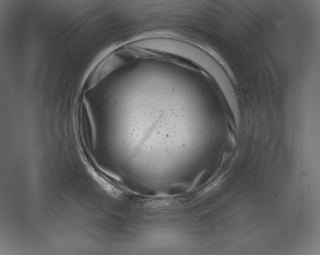X0000051271054200507011740