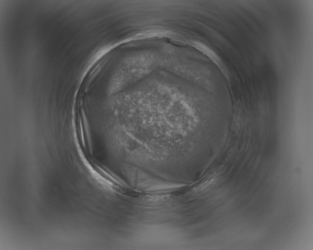 X0000051271055200507011740