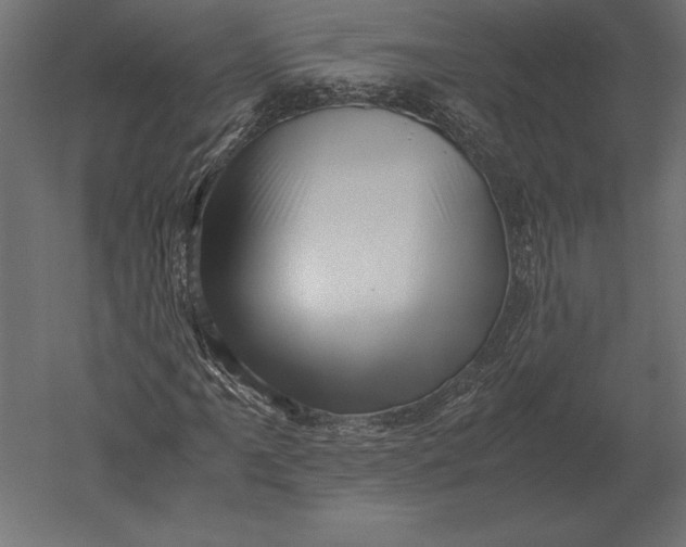 X0000051271061200507011739