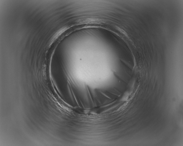 X0000051271066200507011739
