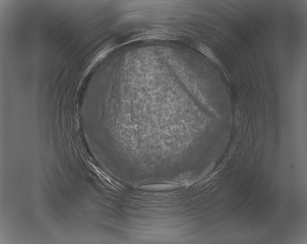 X0000051271067200507011739