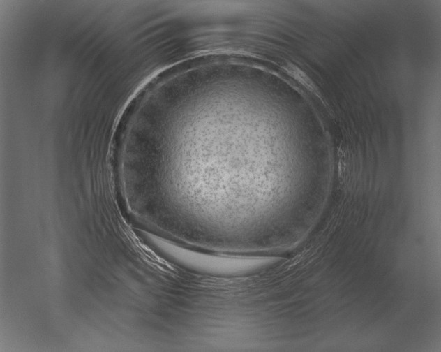 X0000051271068200507011739