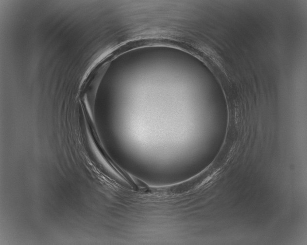 X0000051271069200507011739