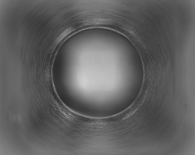 X0000051271073200507011739