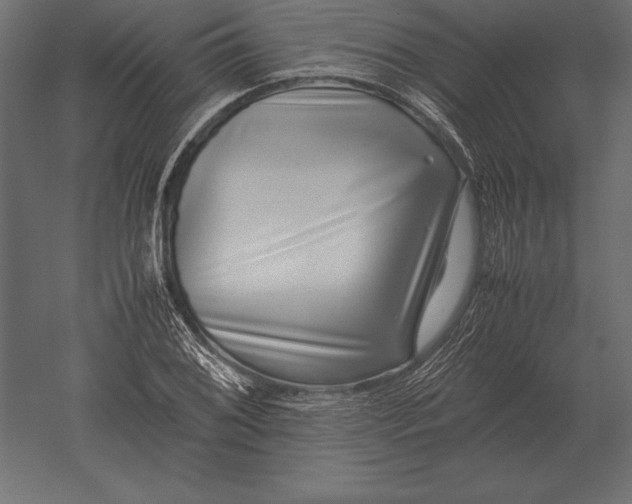 X0000051271076200507011739