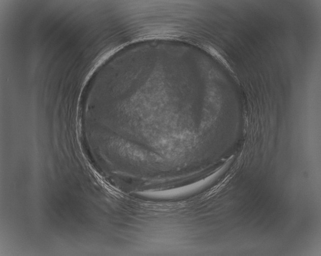 X0000051271077200507011739