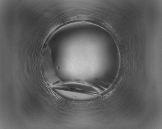 X0000051271081200507011738