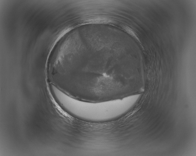 X0000051271087200507011738