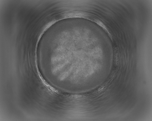 X0000051271088200507011738