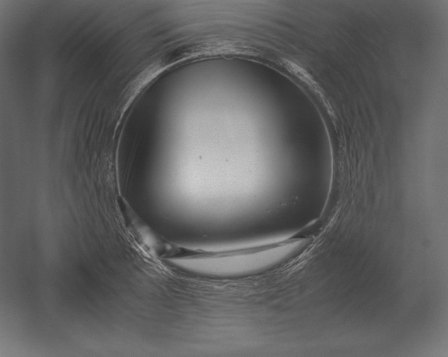 X0000051271089200507011738