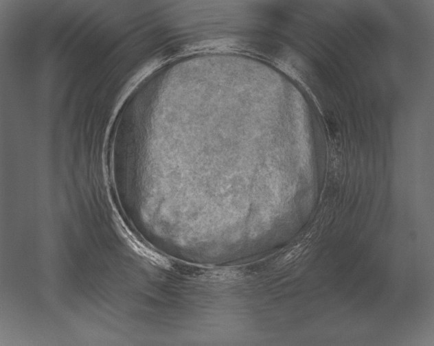 X0000051271090200507011738