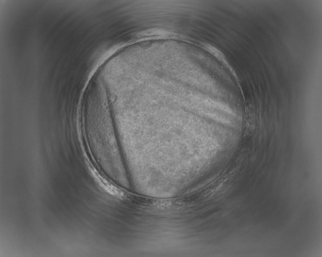 X0000051271098200507011738