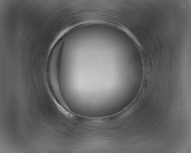 X0000051271101200507011738