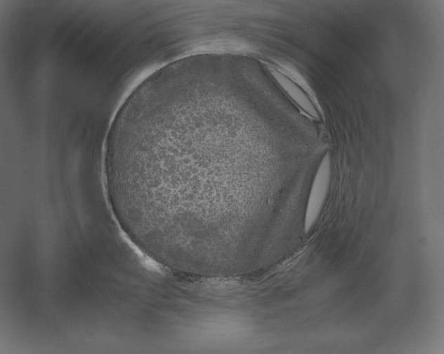 X0000051271103200507011738
