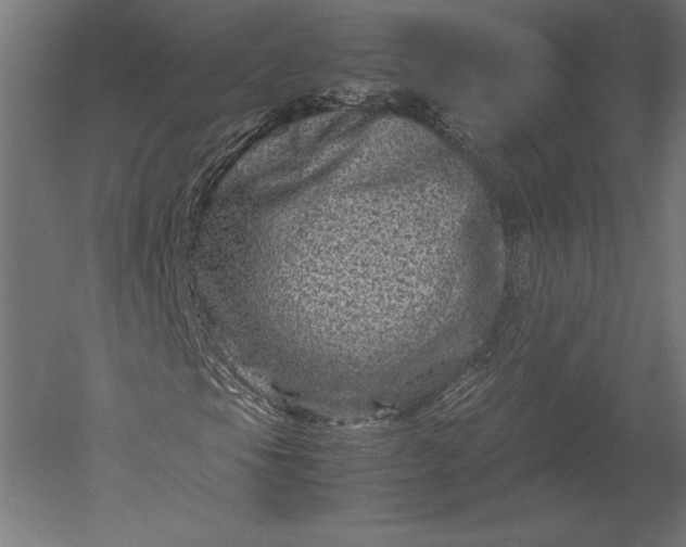 X0000051271105200507011737