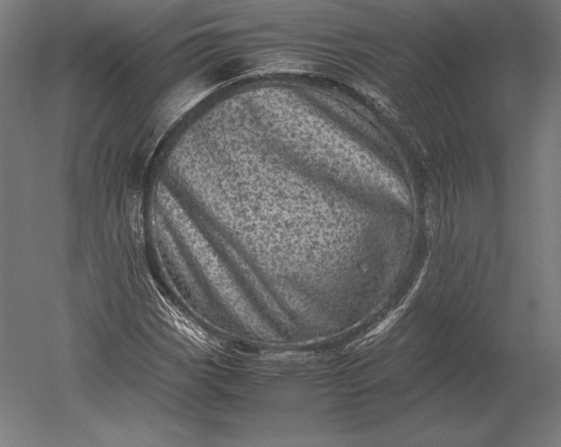 X0000051271113200507011737
