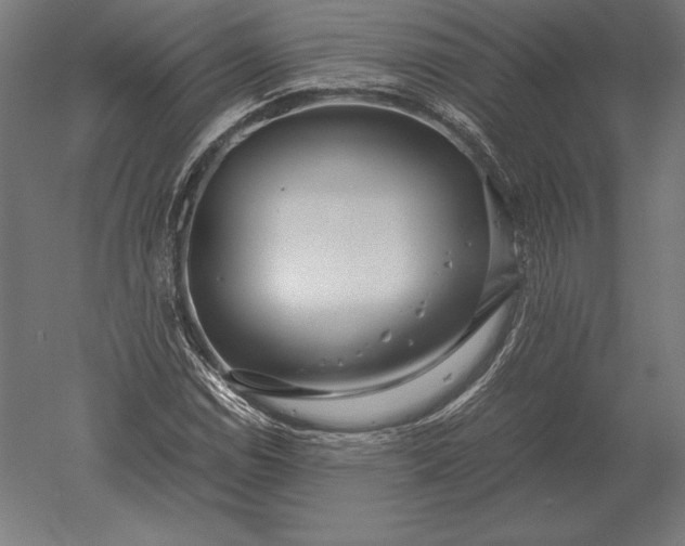 X0000051271114200507011737