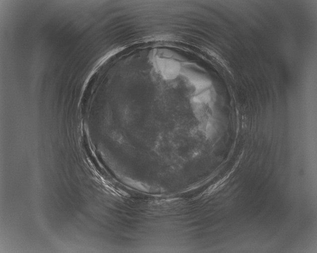 X0000051271117200507011737