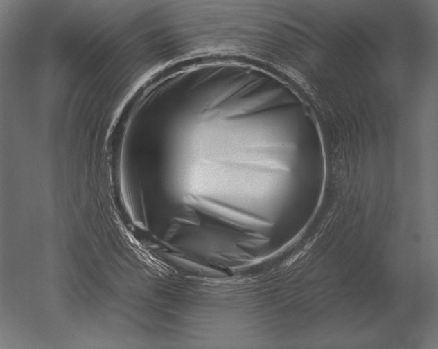 X0000051271118200507011737