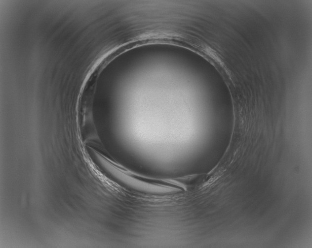 X0000051271124200507011738
