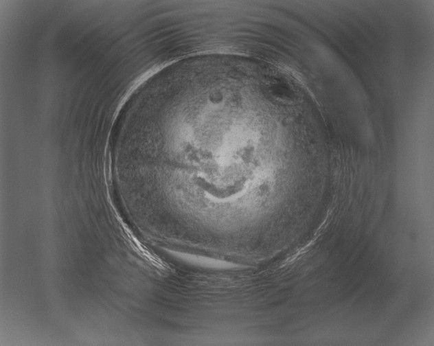 X0000051271125200507011738