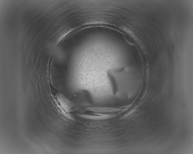 X0000051271129200507011738