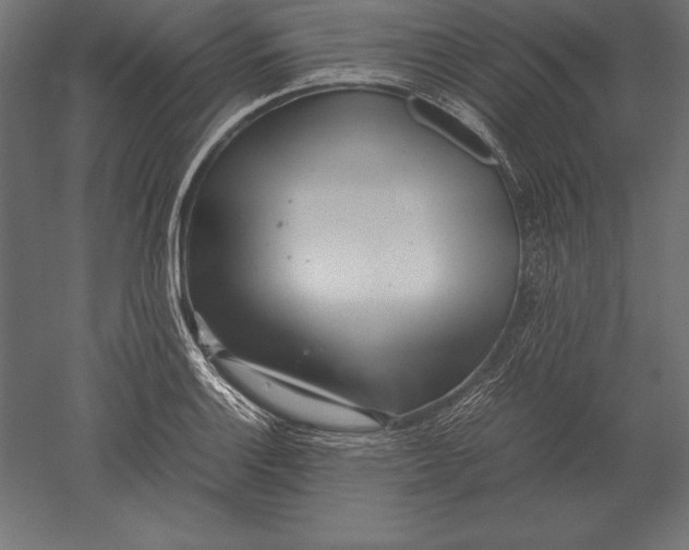 X0000051271132200507011738