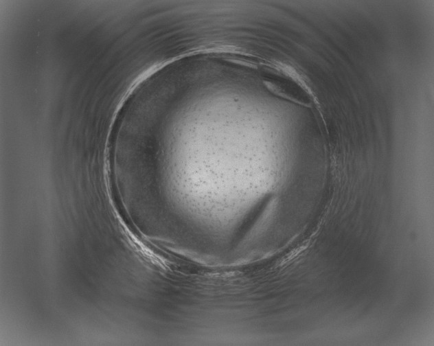 X0000051271133200507011738