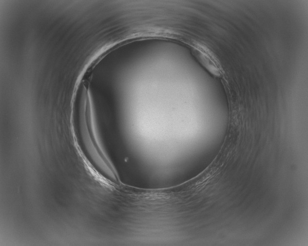 X0000051271136200507011738