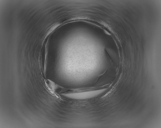 X0000051271137200507011738