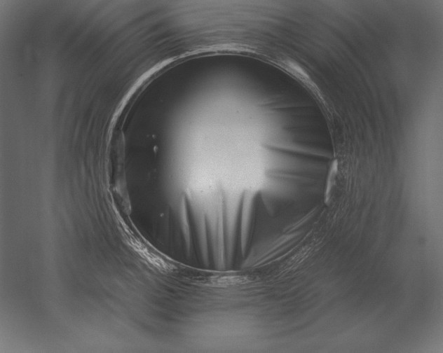 X0000051271140200507011738