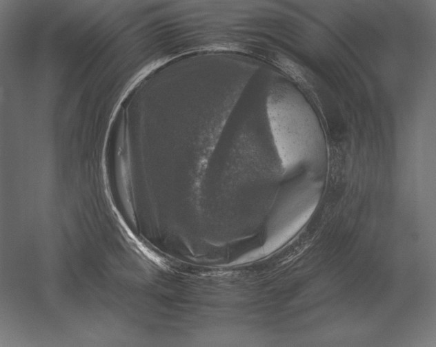 X0000051271141200507011738