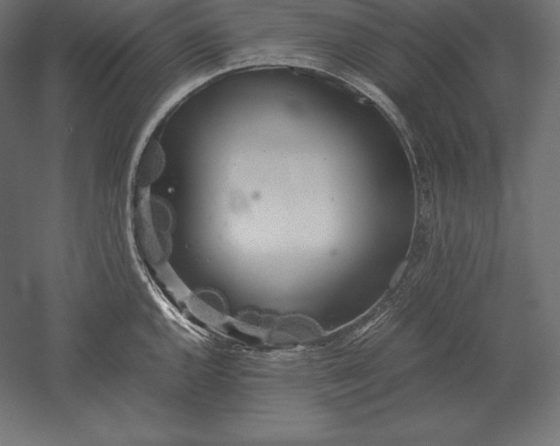 X0000051271144200507011738