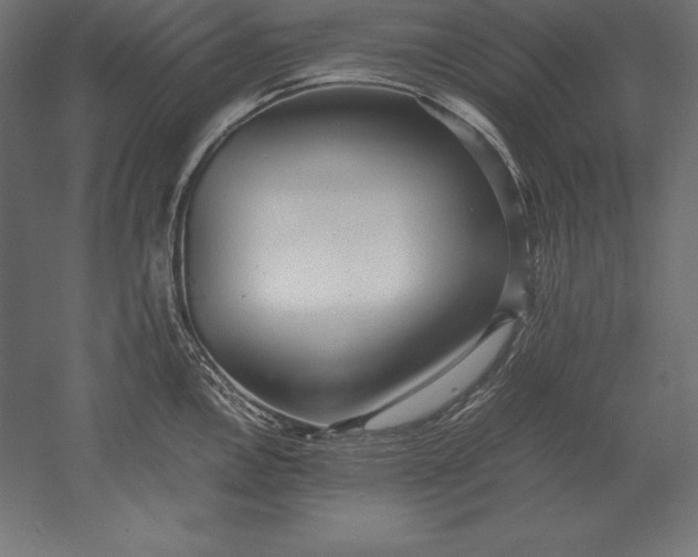 X0000051271146200507011738