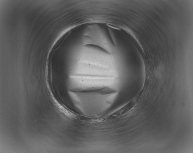 X0000051271147200507011738