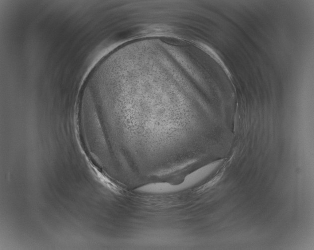 X0000051271149200507011738