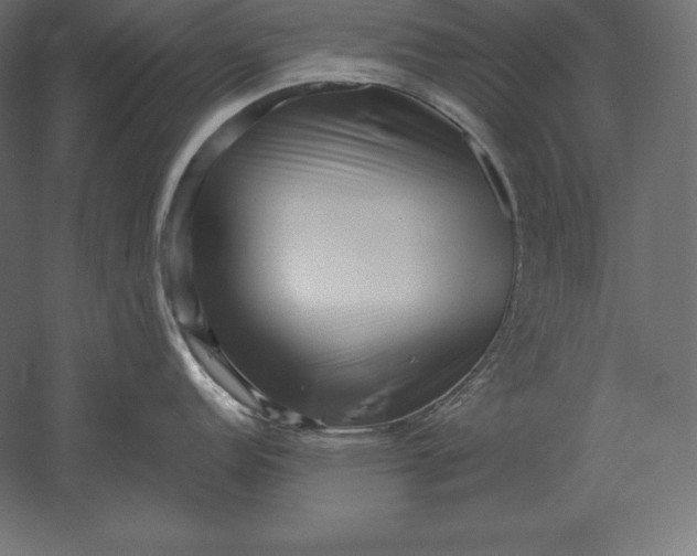 X0000051271152200507011738