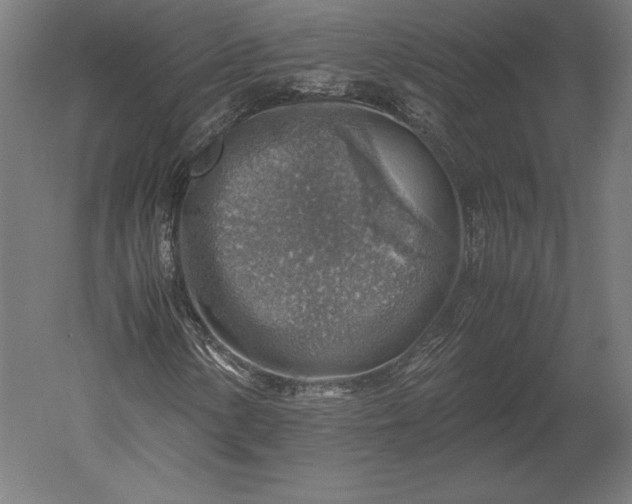 X0000051271154200507011737