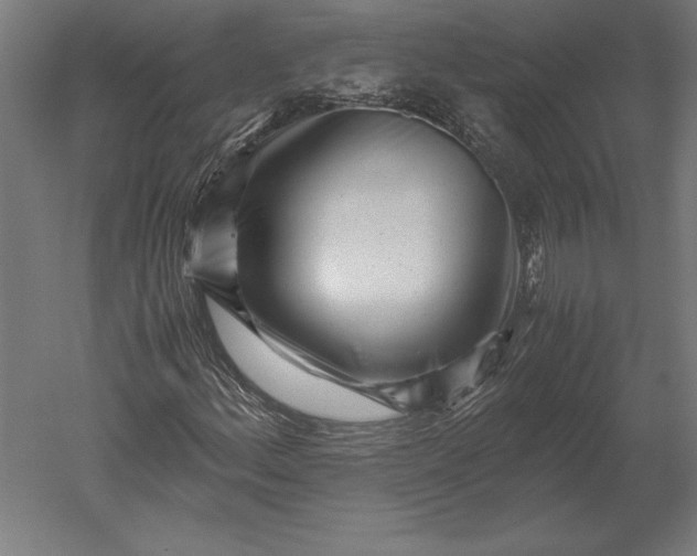X0000051271156200507011737