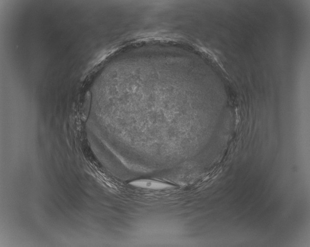 X0000051271159200507011737