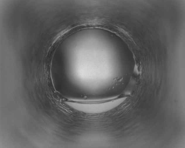X0000051271160200507011737