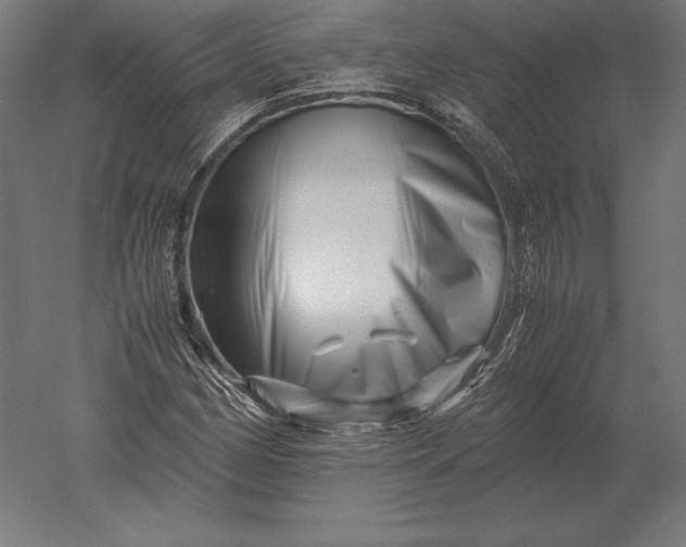 X0000051271162200507011737