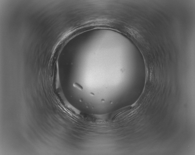 X0000051271164200507011737