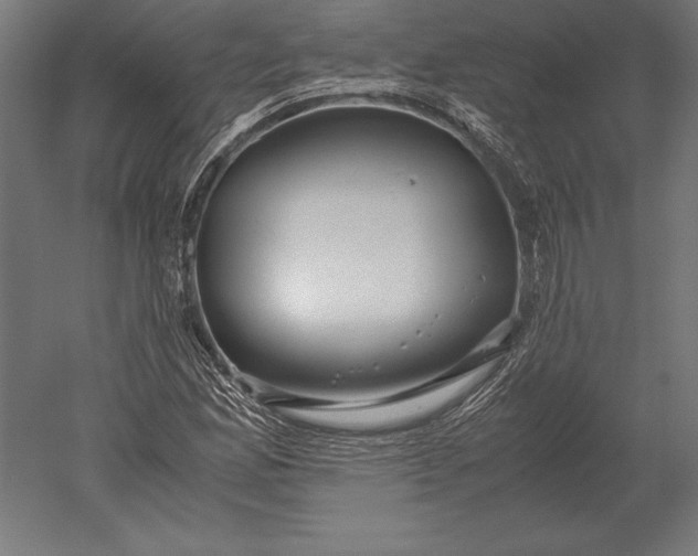 X0000051271165200507011737