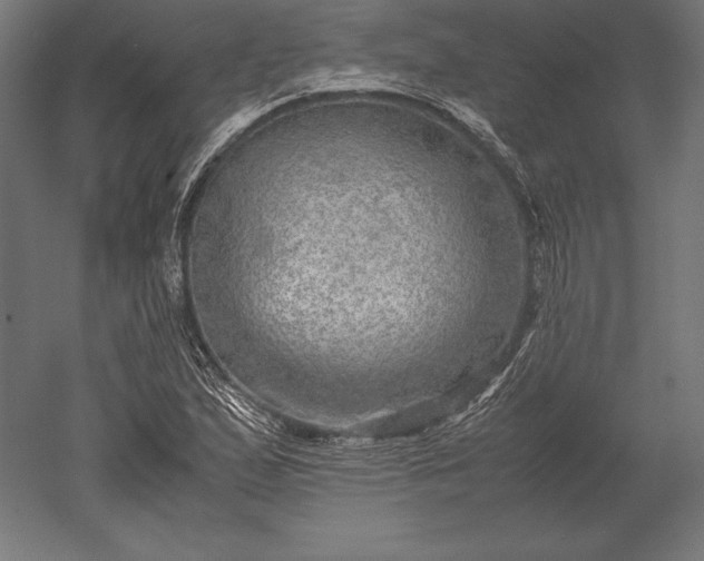 X0000051271167200507011737
