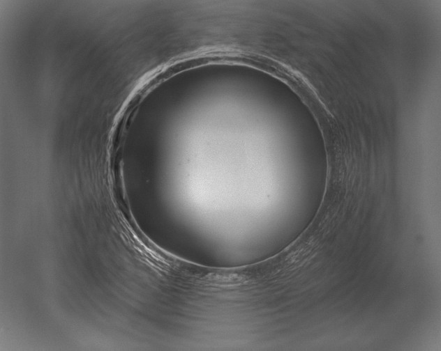 X0000051271168200507011737