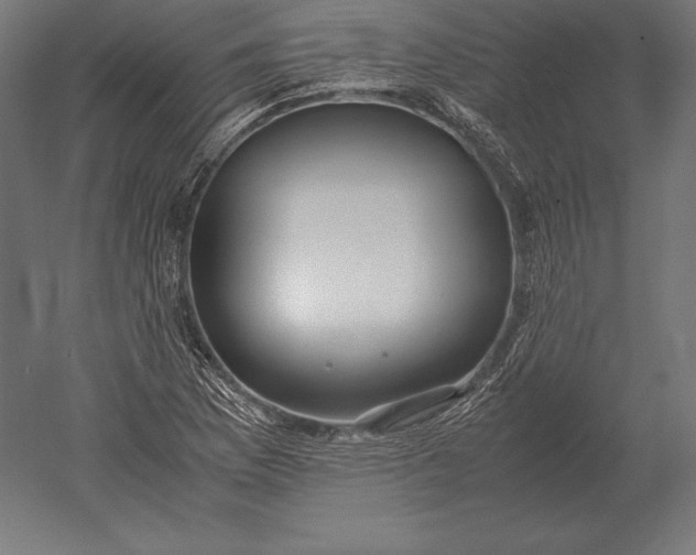 X0000051271169200507011737